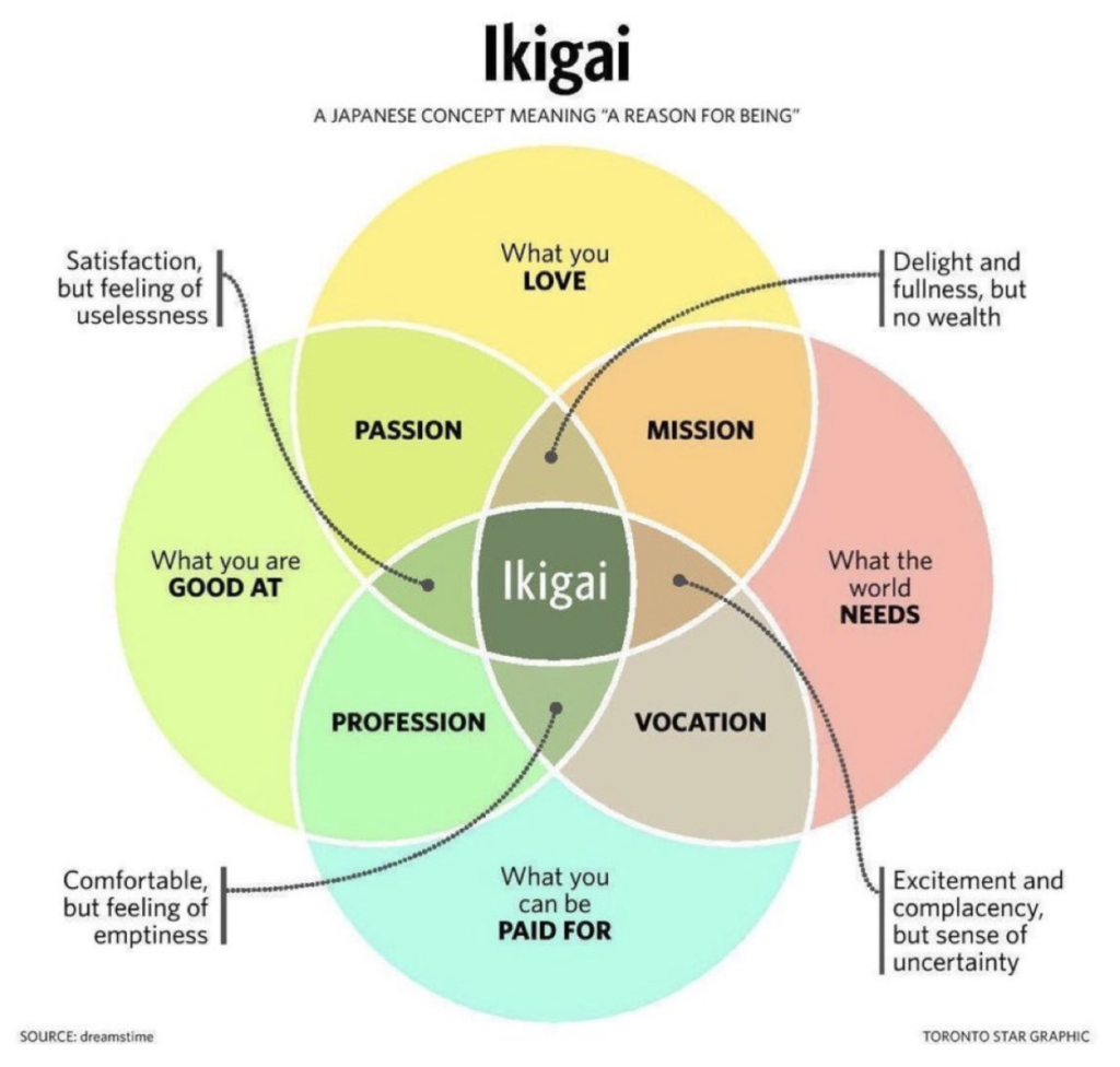 emprender un negocio de consultoría - ikigai